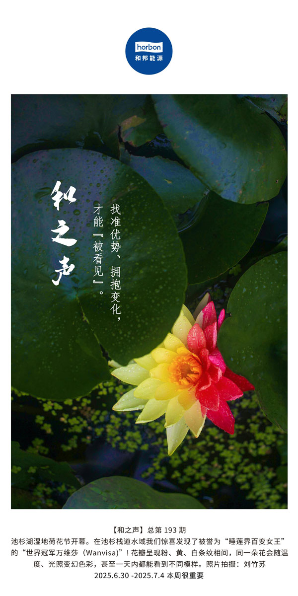 【和之声】找准优势、拥抱变化，才能“被看见”。(总第193期）--2025.6中文导出季度推送用.jpg